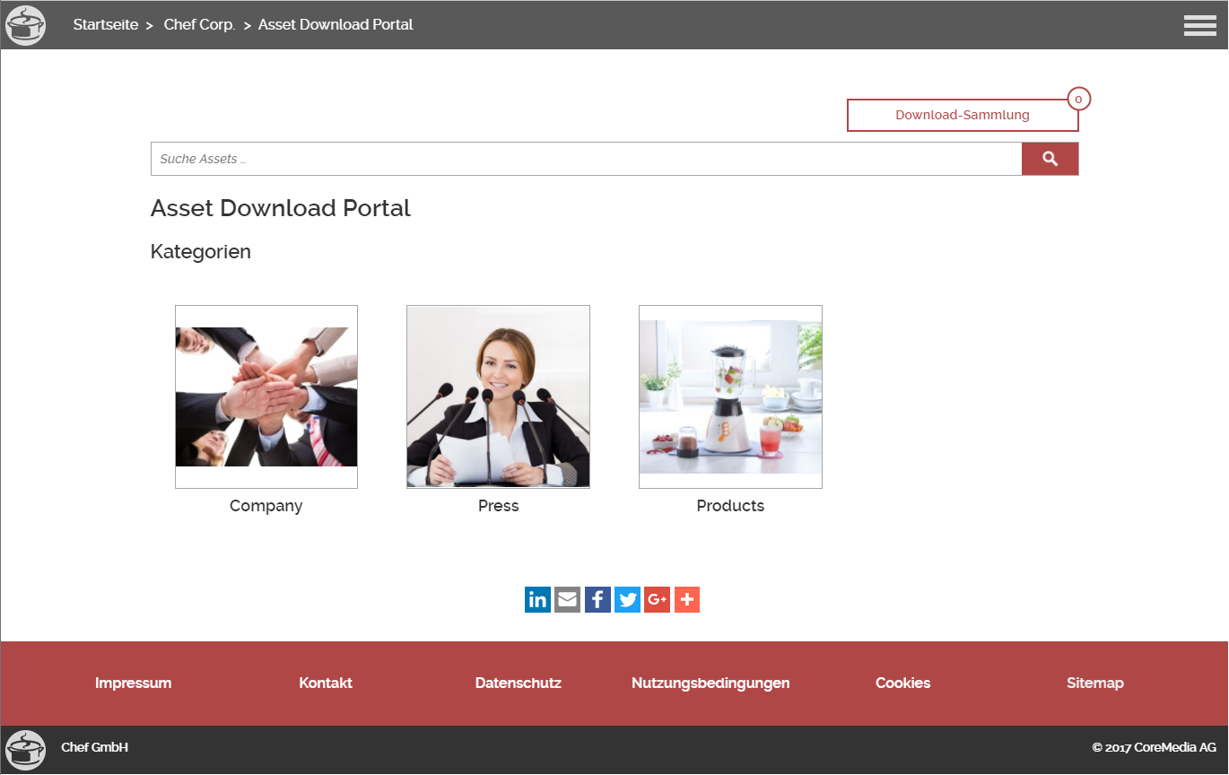 Download-Portal mit Asset