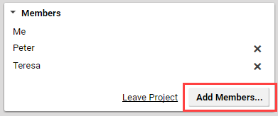 The Members section of the project tab