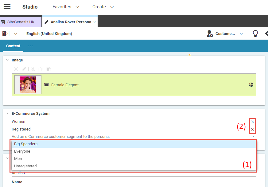 Commerce Customer Segment