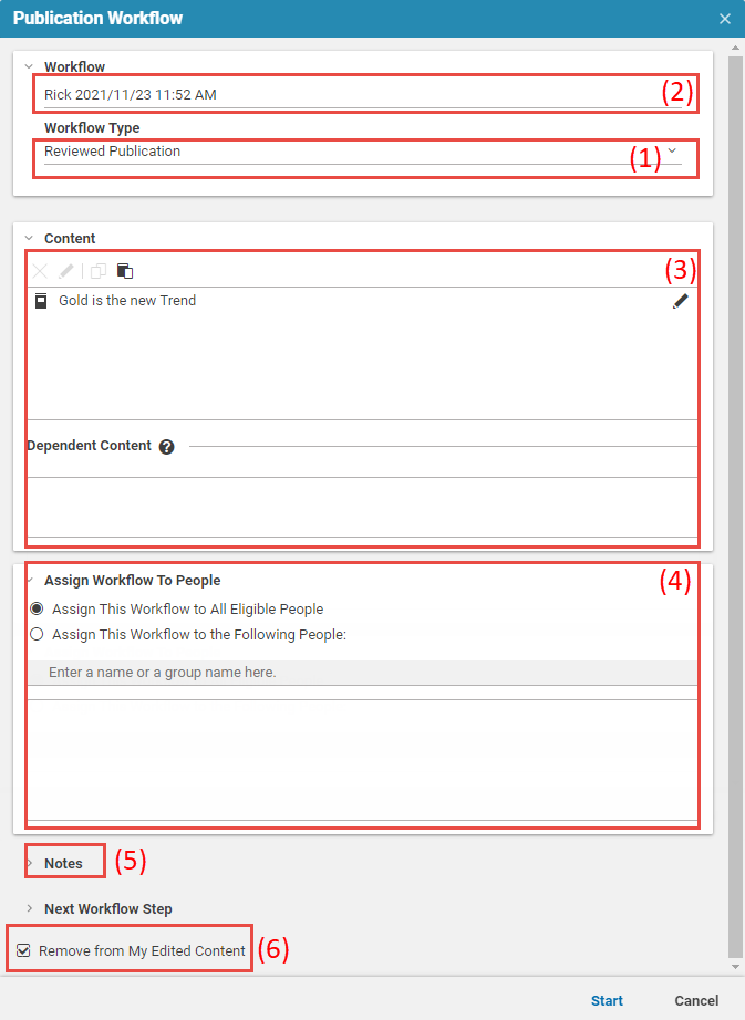 Start Publication Workflow Window