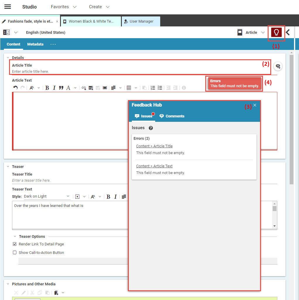 Validators in the Form