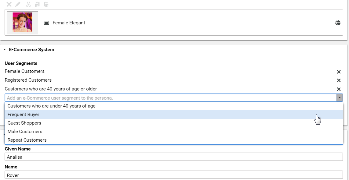 Edit Commerce Segments in Test Customer Persona