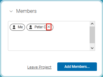 Removing members from a project