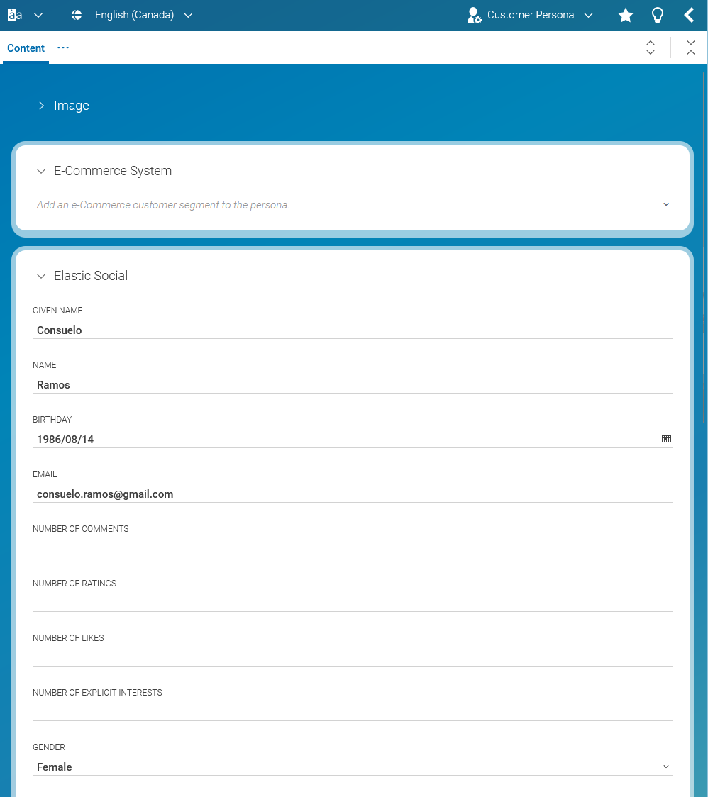 Defining artificial context properties using Customer Personas