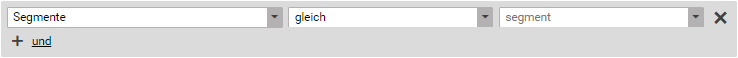 Beispiel für eine Segmentbedingung