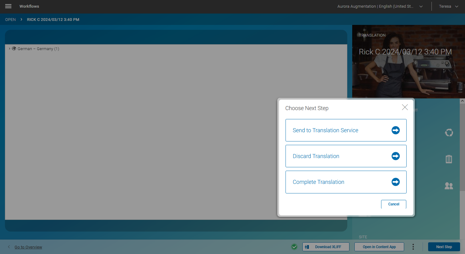 Translation workflow detail panel next steps