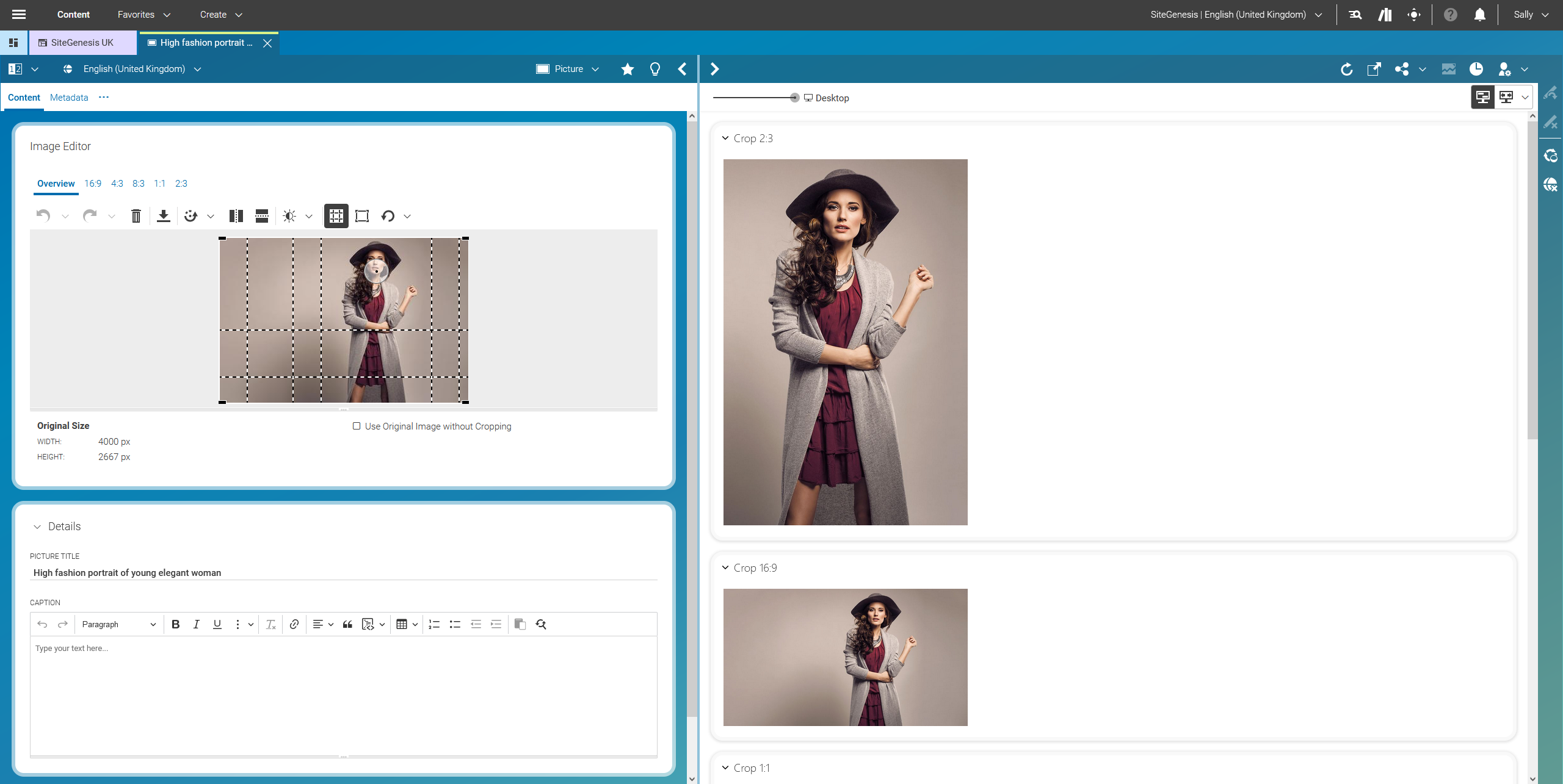 Image Cropping within CoreMedia Studio