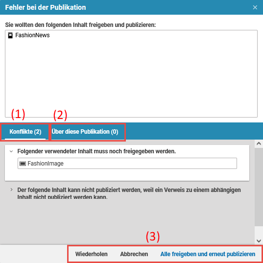 Publikationsfenster mit Problemen