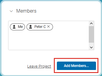 The Members section of the project tab