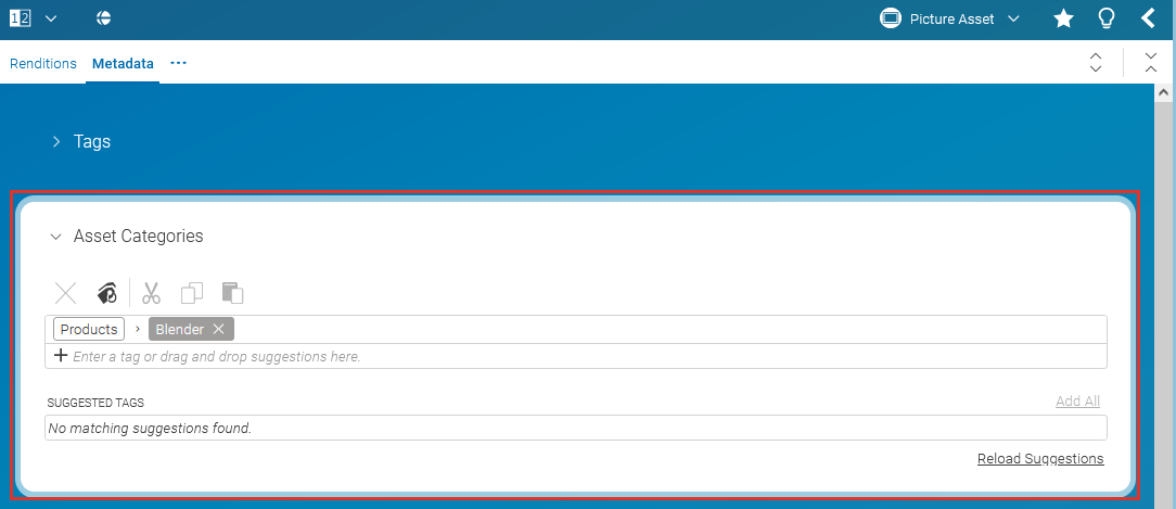 Add category to asset