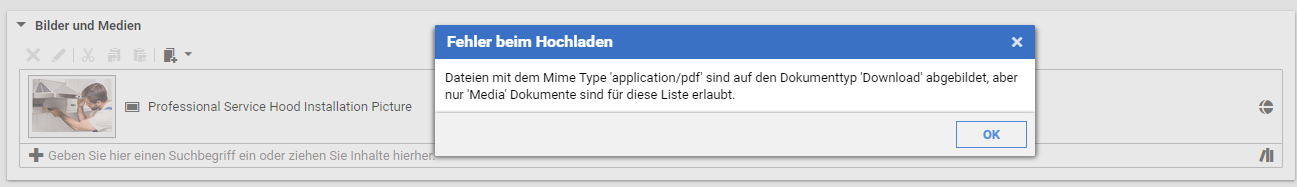 Versuch ein Dokument mit dem falschen MIME-Typ in eine Linkliste hochzuladen