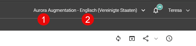 Benutzermenü-Schaltfläche mit Informationen