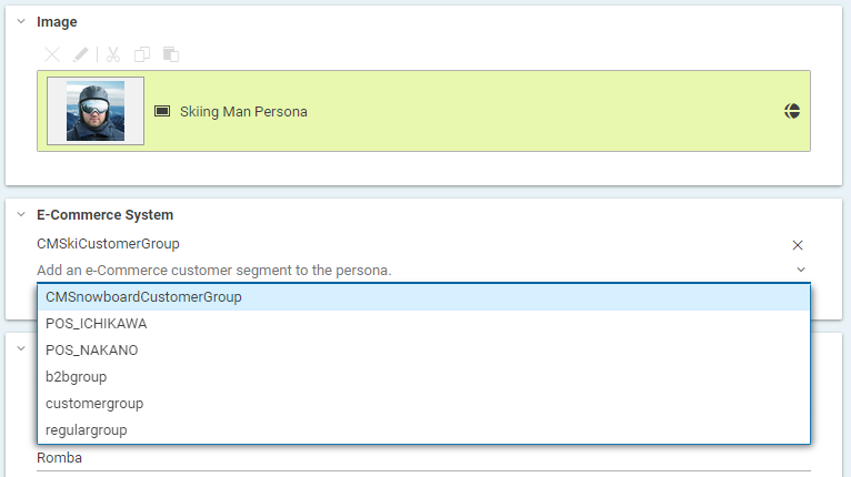 Edit Commerce Segments in Test Customer Persona