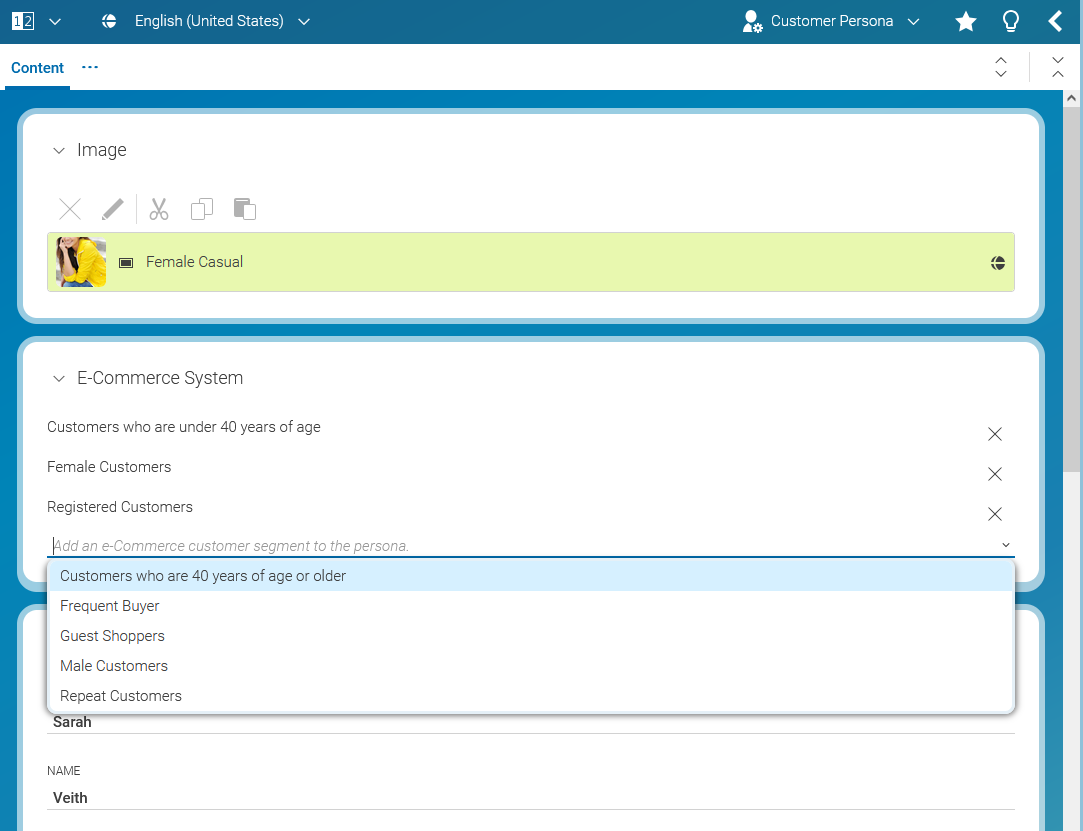 Edit Commerce Segments in Test Customer Persona