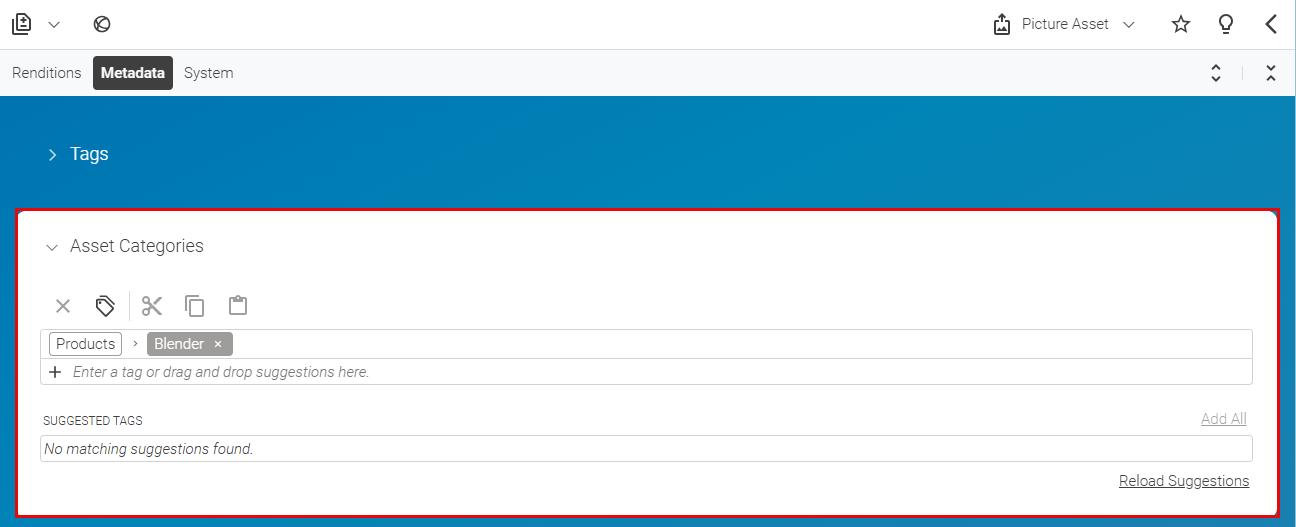 Add category to asset