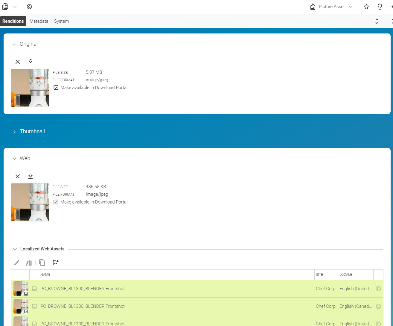 Picture Asset content item