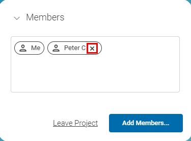 Removing members from a project