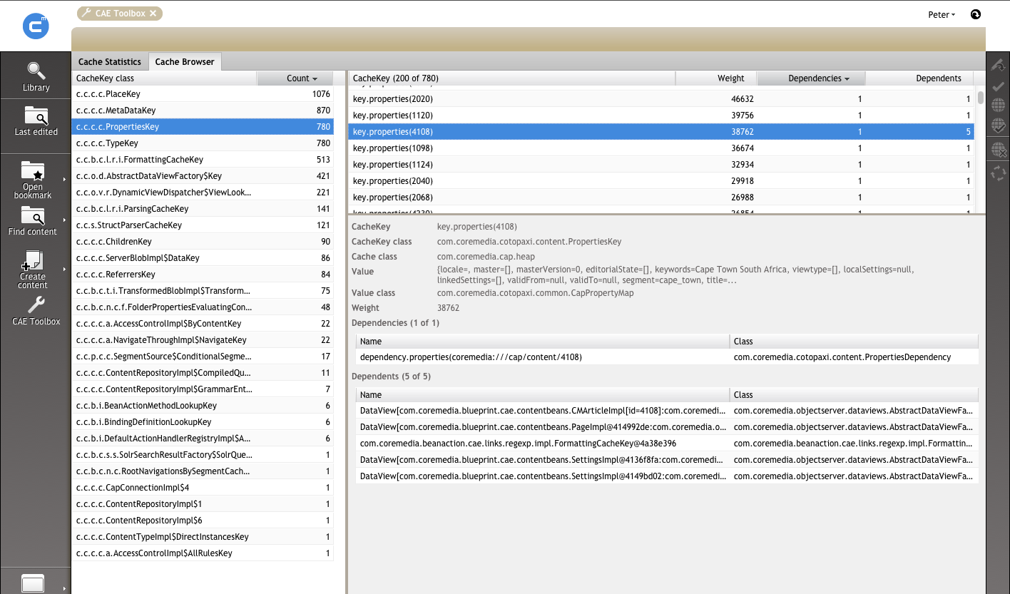 Cache Browser