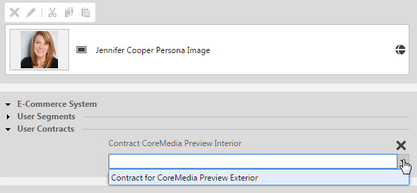 Edit Commerce Contracts in Test Persona