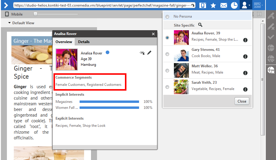 Test Persona with Commerce Customer Segments