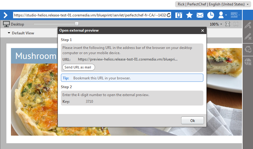 External Preview Dialog