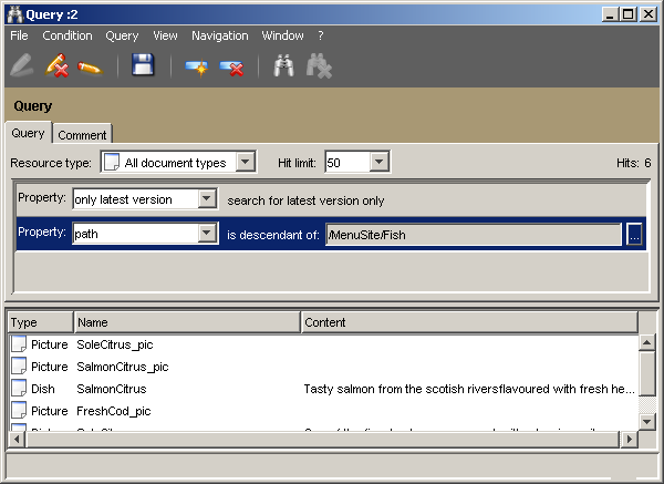 Configured Query window