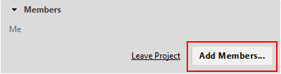 The Members section of the project tab