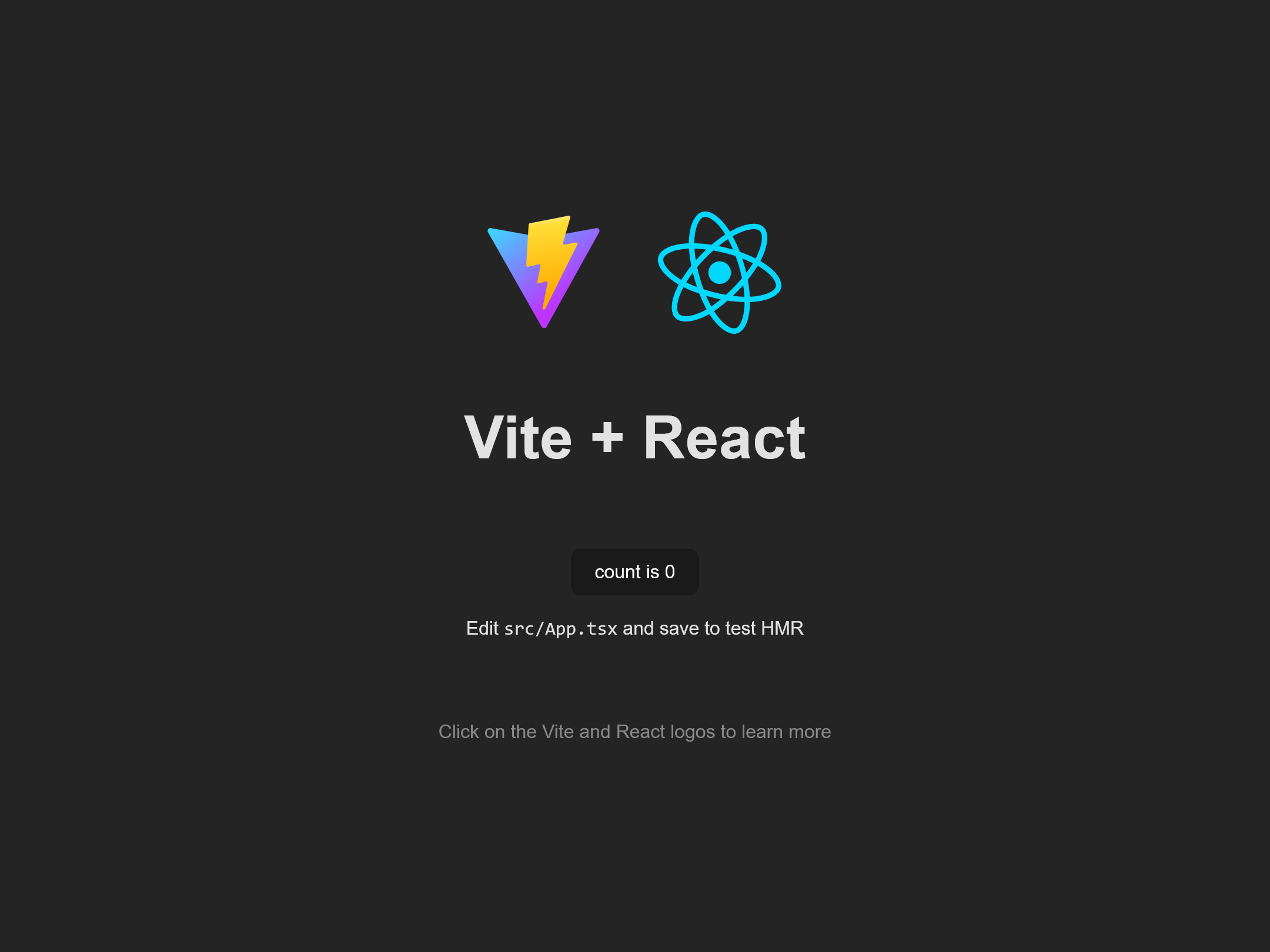 Vite + React Startscreen screenshot react app before